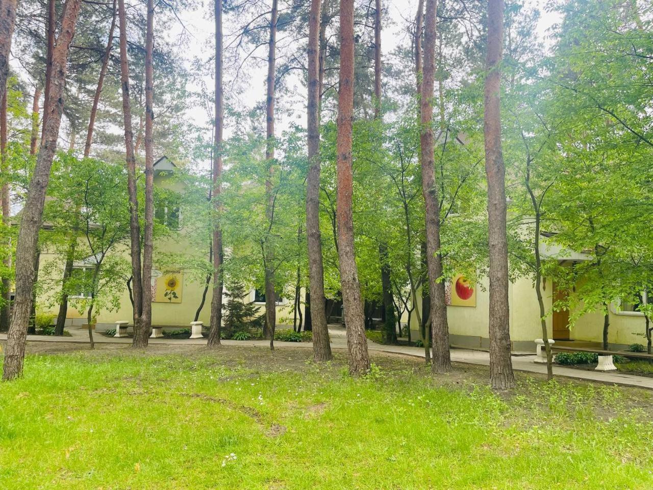 Ethno Complex Ukrayinske Selo Hotel Buzovaya Exterior photo